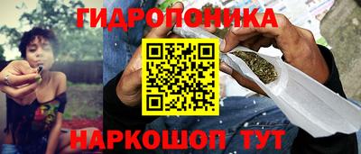 бошки Гай