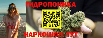 бошки Гай