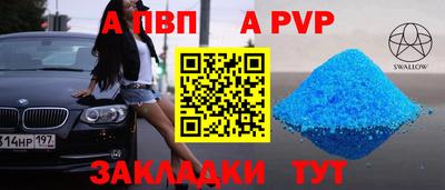 бошки Гай